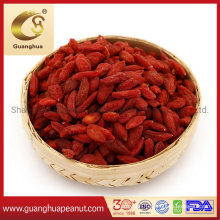 Healthy Hot Sale China Dried Goji Berry